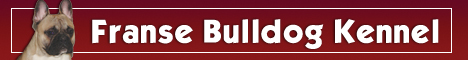 banner_fransebulldogkennel.jpg